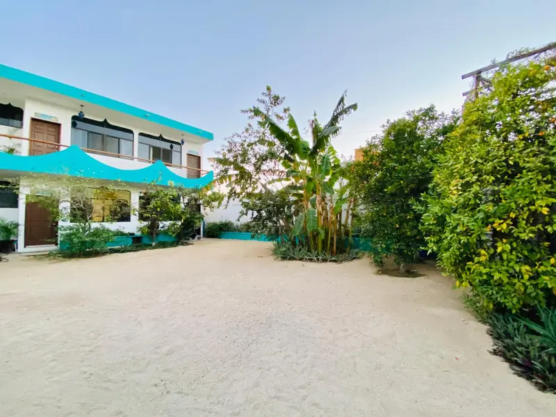 CABO BOHEMIA Tropical Garden Studios