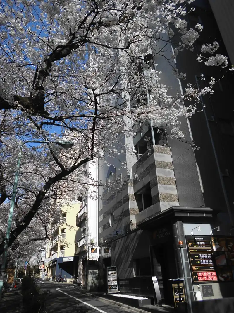 Hotel Moana Otsuka (Adult Only)