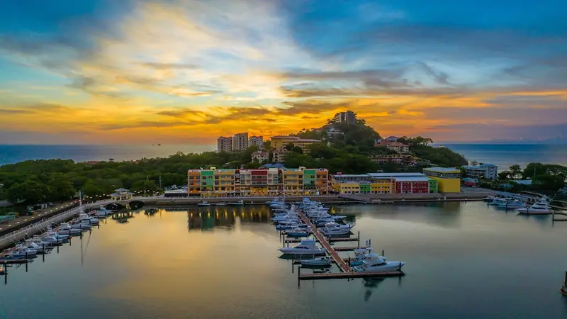 Marina Flamingo